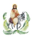 Palm Sunday watercolour illustration: Jesus Christ on a donkey, palm branches isolated on white background. For Christian holiday