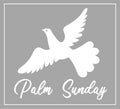 Palm Sunday. The week before Easter. banner or card. White dove with palm leaf. Royalty Free Stock Photo