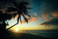 Palm on sunset beach of Oahu North Shore, Hawaii Royalty Free Stock Photo