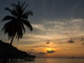 Palm sunset, Christmas Island, Australia