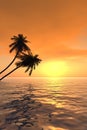 Palm_Sunset_V Royalty Free Stock Photo