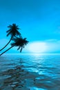 Palm_Sunset_VAB Royalty Free Stock Photo