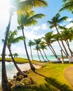 Palm tees in Bas du Fort seafront Royalty Free Stock Photo