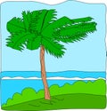 Palm Tree Royalty Free Stock Photo