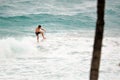 A palm tree acts as a marker of sorts for the surfer riding a wind-swept wave along the tropical shoreline