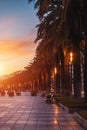 palm tree alley and sunset at beautiful Salou coastal town, tropical city street at evening, Tarragona province, Spain Royalty Free Stock Photo