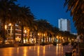 palm tree alley and sunset at beautiful Salou coastal town, tropical city street at evening, Tarragona province, Spain Royalty Free Stock Photo