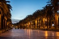 palm tree alley and sunset at beautiful Salou coastal town, tropical city street at evening, Tarragona province, Spain Royalty Free Stock Photo