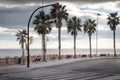 Palm tree along the road in spain Royalty Free Stock Photo