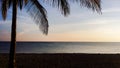 Palm tree on Atlantic ocean beach at sunrise Royalty Free Stock Photo