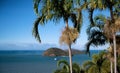 Palm tree on the background of the blue ocean and sky Royalty Free Stock Photo