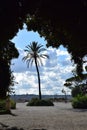 Palm Tree on the Balconata del Pincio in the Villa Borghese Park in Rome, Italy Royalty Free Stock Photo