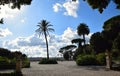 Palm Tree on the Balconata del Pincio in the Villa Borghese Park in Rome, Italy Royalty Free Stock Photo