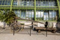 Palm tree in a barrel in front of the Botanical House \