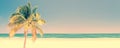 Palm tree on a beach in Cayo Levisa Cuba, panoramic background with copy space, vintage travel concept Royalty Free Stock Photo