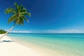 A palm tree is on a beach with a clear blue sky Royalty Free Stock Photo