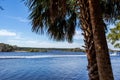 Palm Tree Beach Coast Tropical Weather Ocean Horizon Vacation Summer Sun Destination Landscape