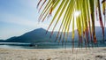 Tree with a summer vacation, holiday background of a tropical beach, blue sea, white clouds, sun flare and green palm tree leaves Royalty Free Stock Photo