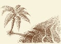 Palm tree on a beach hand drawing