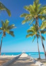 Palm tree, beach and resort walkway for travel on tropical island for paradise vacation, location or Hawaii. Plants Royalty Free Stock Photo