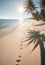 a palm tree is on the beach and the sun is shining on the sand with footprints Royalty Free Stock Photo
