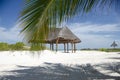 Palm tree on the beach of a tropical island Royalty Free Stock Photo