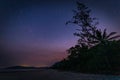 Palm Tree and Beach under a Starry Night Sky with Romantic Evening Twilight, Queensland, Australia