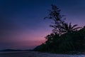 Palm Tree and Beach under a Starry Night Sky with Romantic Evening Twilight, Queensland, Australia Royalty Free Stock Photo