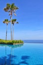 Palm tree and Beautiful luxury hotel swimming pool, with amazing view