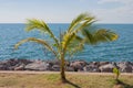 Palm tree with beautiful view of sea and blue sky at Kung Wiman Bay in Chanthaburi Province.