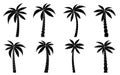 Palm tree black silhouette isolated tropical set