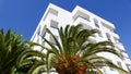 Palm tree with block of flats in the background