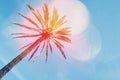 Palm tree on blue sky background with trendy colorful bokeh