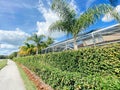 Florida palm tree and blue sky Royalty Free Stock Photo