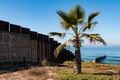 Palm Tree at Border Field State Park in San Diego Next to International Border Wall Royalty Free Stock Photo