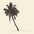 Palm Tree Bounty Vintage Engraving Vector Sketch