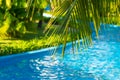 palm branch over defocused lazy river pool Royalty Free Stock Photo