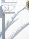 Palm tree branches cast a shadow on a white wall, column and masonry,