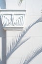 Palm tree branches cast a shadow on a white wall, column and masonry,