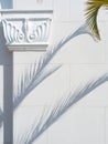 Palm tree branches cast a shadow on a white wall, column and masonry,