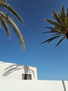 Palm tree branches over a white building against a blue sky Royalty Free Stock Photo