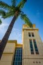 Palm tree and building at Chapman University