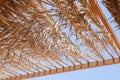 Sunshade from palm branches on the beach