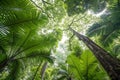 Palm tree canopy an upward view. generated using AI.