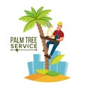 Palm Tree Trimming Vector. Trimming Tree Or Removal To Tree Pruning. Cartoon Character Illustration Royalty Free Stock Photo