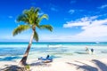 Palm tree on the caribbean tropical beach with boats. Saona Island, Dominican Republic. Vacation travel background Royalty Free Stock Photo