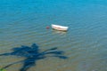 Palm tree casts shadow over water Royalty Free Stock Photo