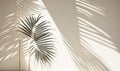 a palm tree casts a shadow on the wall of a room