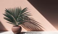 a palm tree casts a shadow on a wall in a room