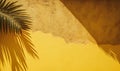 a palm tree casts a shadow on a yellow stucco wall